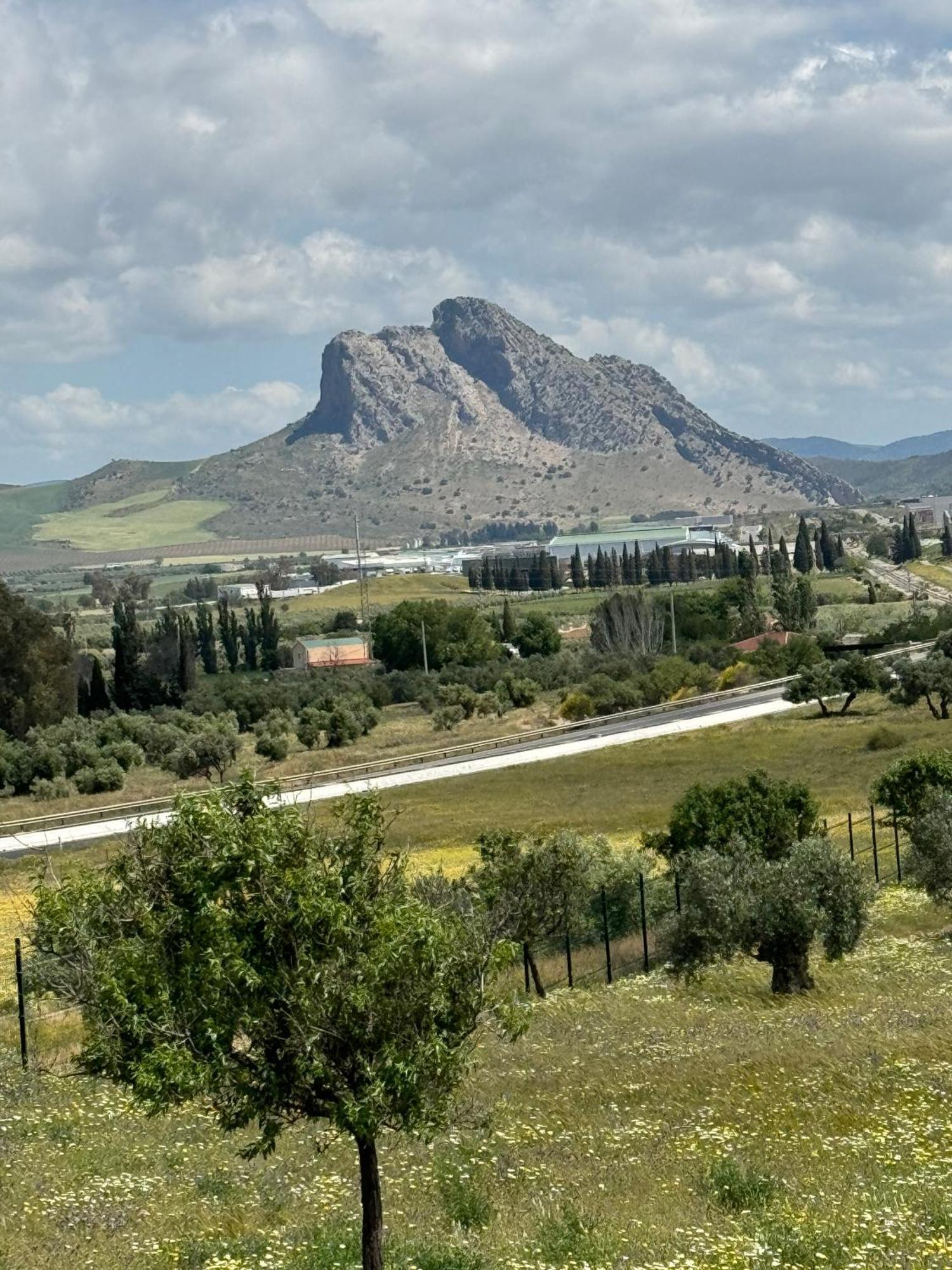 Villa Casa Flamenco - Casco Antiguo Antequera Esterno foto